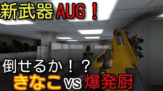 [バレットフォース]新武器AUG使うよ！爆発厨多すぎwwww