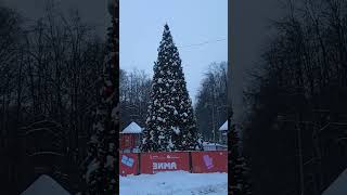 Символизм новогодней Елки / Зачем украшать ёлочку/ Сакральные смыслы Зимнего Солнцестояния