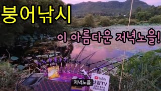 붕어낚시 연밭소류지 끝내주는 저녁 분홍빛 물들다#koreafishing#붕어낚시#난장tv#세차#붕어#여름#연밭#