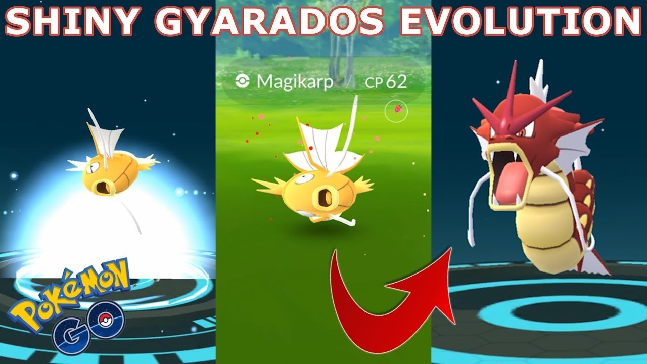 SHINY MAGIKARP EVOLUTION| RED SHINY GYARADOS| POKEMON GO - YouTube