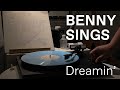 [바이닐로 듣는] Benny Sings - Dreamin'