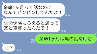 【LINE】嫁の私が余命1ヶ月と知って新居と高級車を購入した夫と姑「お前の保険金入るの楽しみだわw」→飼っている亀の話と勘違いしていたクズ親子の末路がwww