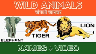 Wild animals | wild animals and their names | जंगली जानवर और उनके नाम