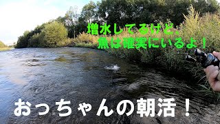 おっちゃんの朝活！　流れの強い時はダウンいいかも？　北海道ルアーフィッシング　渓流ベイトフィネス　9／7