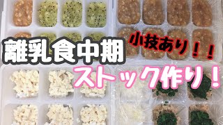 【離乳食中期】8ヶ月になった娘のストック作り！【もぐもぐ期】フルーツもストック！小技あり！！！！！