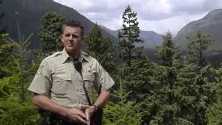 Forest Cop faces human and natural threats