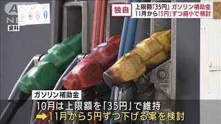 【独自】ガソリン補助金　10月は上限「35円」を維持し、11月以降は縮小へ(2022年9月7日)