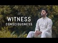 Witness Consciousness