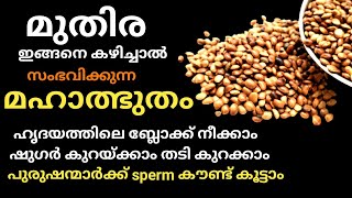 മുതിര ഇങ്ങനെ കഴിച്ചാൽസംഭവിക്കുന്ന മഹാൽത്ഭുതം  ഷുഗർ കുറക്കാം  Horse gram benefits nutrition malayalam