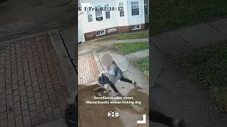 Surveillance video shows Massachusetts woman kicking dog