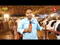 watch indigenous cow breeds at animal husbandry expo 2025 in bhubaneswar