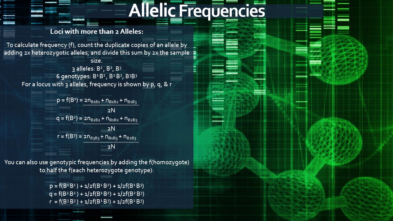 BY 210 Video Bonus Population Genetics - YouTube