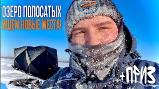 СЛОМАЛИ САНИ И ПЕРЕВЕРНУЛИСЬ НА СНЕГОХОДЕ! ПОИСКИ НОВЫХ МЕСТ. ПОЛОСАТЫЕ ОКУНИ С ТАЁЖНОГО ОЗЕРА.