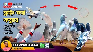 ভালো ব্লাড লাইনের ওড়া কবুতর best quality high flying pigeon loft।।ভালো মানের কিছু পাকিস্তানি কবুতর