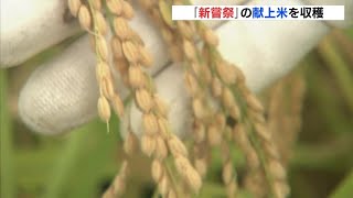 「いいコメができた」宮中行事「新嘗祭」への献上米を収穫　広島