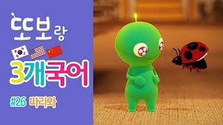 또보랑 3개국어 | 한국어 영어 중국어 배우기 | #26 따라와 | 키즈봄