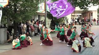 「 志舞 」四日市よさこい やったろ舞2023【ふれあいモール】