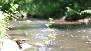 Visit Middleton | Trails and Pheasant Branch Conservancy