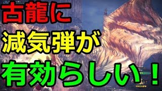 MHW】古龍に減気弾は有効らしい！割と知られていない減気弾の特殊効果と古龍のスタミナ！検証【モンハンワールド】