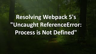 Resolving Webpack 5's "Uncaught ReferenceError: Process is Not Defined"