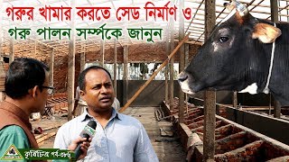 386-গরুর খামার করতে সেড নির্মাণ ও গরু পালন সম্পর্কে জানুন ।চিত্রপুরী কৃষিচিত্র