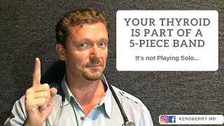 Your Thyroid is 1 Player in the 5-Piece Band of Your Health