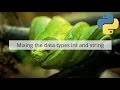 Mixing data types string and int, in Python