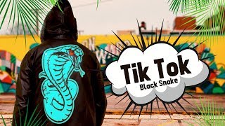 Tiktok (Full Video) | Black Snake | Latest Punjabi Song 2019 | Shemaroo Music