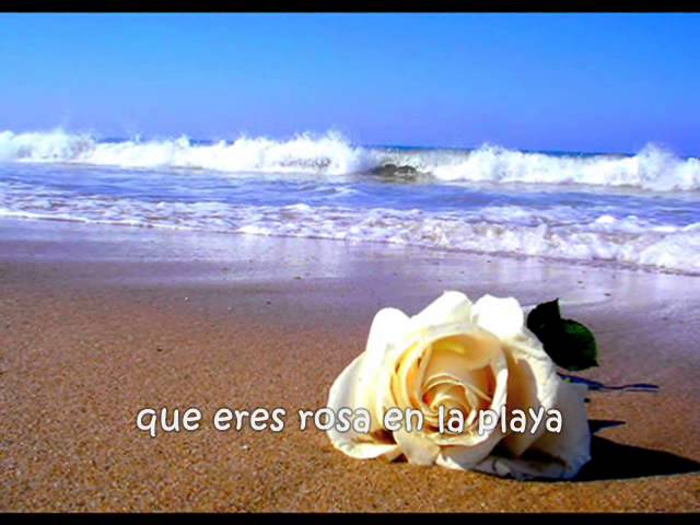 Salserin - Una rosa en la playa - con letra para mi Goyita’ Salserin - Una rosa en la playa - con letra para mi Goyita
