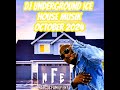 DJ Underground Ice - HOUSE MUSIK (October 2024)