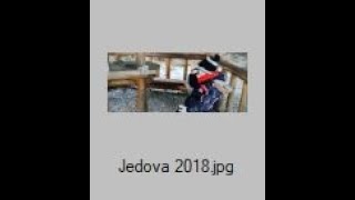 Denis Jedová 2018