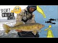 SECRET Ice Fishing Bite is on FIRE for BIG Walleyes!