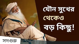 পাইনিয়াল গ্রন্থি: যৌন সুখের থেকেও বড় কিছু! ।Pineal Gland  A Pleasure Far Bigger Than Sex