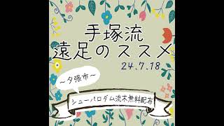 手塚流遠足のススメ　～夕張市～　シューパロダム流木無料配布