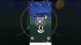 ポケモンGO。野生のオンバットと色違いチラーミィ