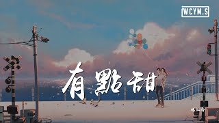 傅如乔 - 有点甜「是你让我的世界从那刻变成粉红色」【動態歌詞/Lyrics Video】