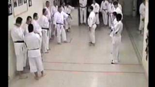 Sherman Harrill Isshinryu Bunkai