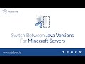 Tebex - Switch Between Java Versions For Minecraft Servers