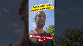 Pailler le sol de son potager avec des aiguilles de résineux... bonne ou mauvaise idée ?