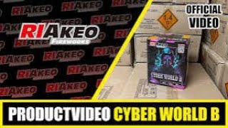 RIAKEO CYBERWORLD B + CYBERWORLD E