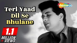 Teri Yaad Dil Se Bhulane | Hariyali Aur Rasta (1962) | Manoj Kumar | Mala Sinha | Helen