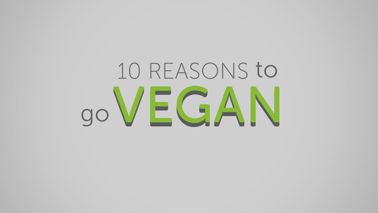 10 Reasons To Go Vegan Veganfanatic 10 Reasons To Go Vegan Veganfanatic