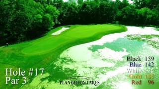 Plantation Lakes Hole 17