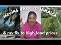 High food prices in Jamaica, lots of rain and my yard.