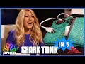 Lori Greiner Has This Deal in the Bag | Shark Tank in 5 | CNBC Prime