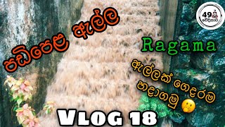 | පඩිපෙළ ඇල්ල | ගෙදරදිම ඇල්ලක් හදාගමු 😏 | 49 වේදිකාව | vlog 18