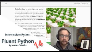 Intermediate Python, Fluent Python, 14