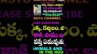 ఈ జంతువులు గాని ఈ పరీక్షలు గాని ఇంట్లోకి వస్తే ఏమవుతుంది