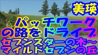 セブンスターの木～マイルドセブンの丘　美瑛　パッチワークの路を走る　北海道一周 車中泊の旅　2020