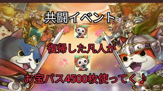 【妖怪三国志国盗りウォーズ】お宝パス4500枚でお宝は出るか！？